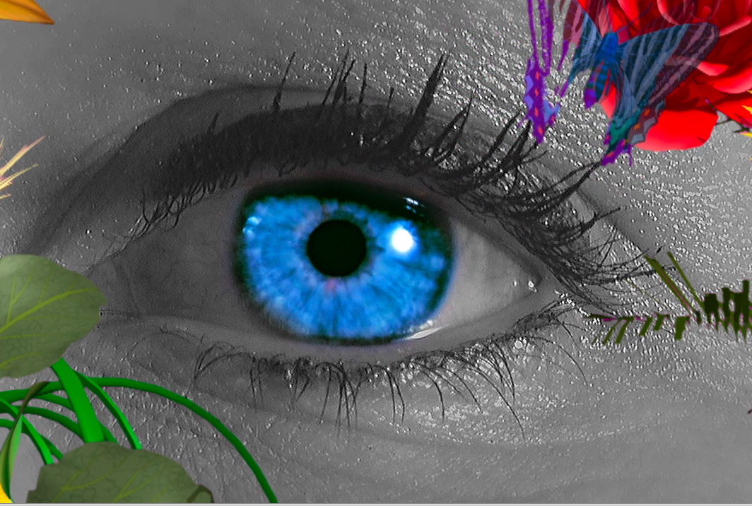oeil.jpg